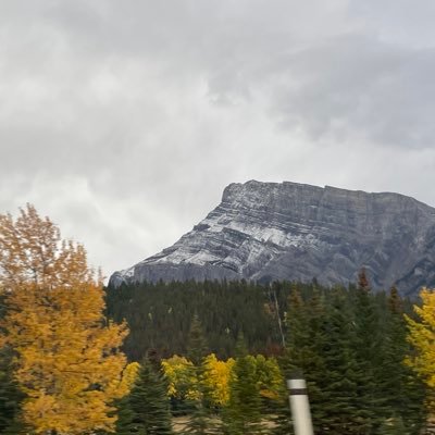 BlockchainComms's profile picture. 