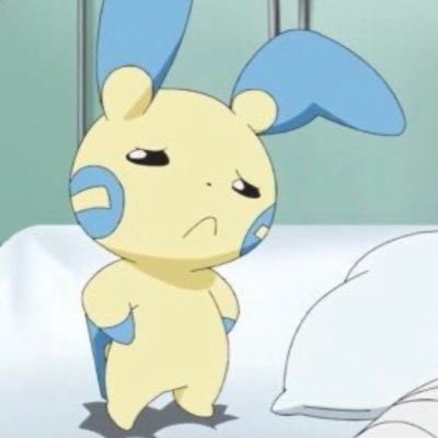 ShunInKyoto's profile picture. 京都 福岡 04