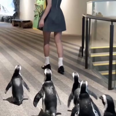 blac_kboo_kss's profile picture. jis✿✿