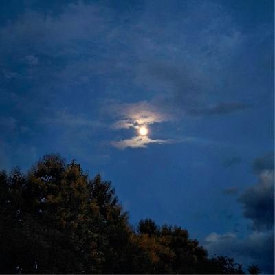 KonmeiLaktan's profile picture. Gratitude is the attitude..