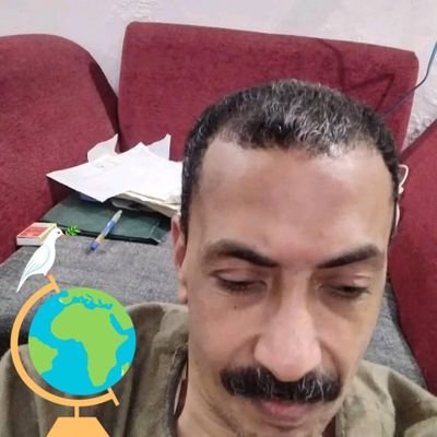 HQryn6356's profile picture. 