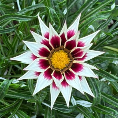 IV5ifn2KTx5566's profile picture. 