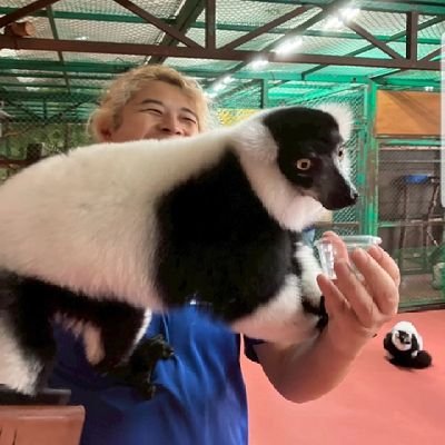 TOMOYUKINNIKUN's profile picture. 武活道代表 健康運動指導士 温泉保養士 A級ライセンス  車レース🥇道場で新空手&RIZIN優勝🏆本web掲載📚 FC3S∞3,AE86GTAPEX車5台持
💚ゲーム実況 動物 映画ドリフト清川望
YouTube▶REDSUNSGarage
https://t.co/SN0bNNncC8