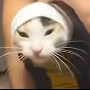 Freeratey's profile picture. al @flainstar Hi bro