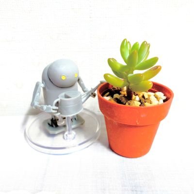 matchazarashi's profile picture. apologies / CUR / 後書き / TOP4 / ポケスリ / P5X