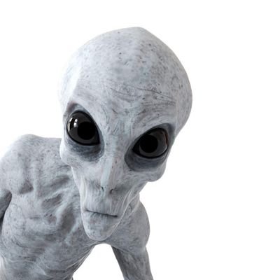 AaravSh12556572's profile picture. Dhoni fan 
Modi supporter
Cricket 🏏 Lover 
Music 🎵 Lover