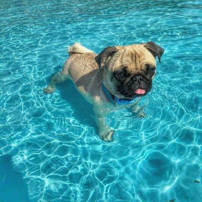 abdalaaah13's profile picture. player for @ZENNclub | @vyxonclan | b.e. @alekmngm