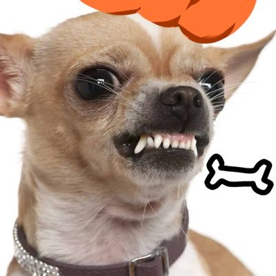 tajo_ttong's profile picture. @tijogyejeo 으로 계옮합니다 사유: 일론개쉐이