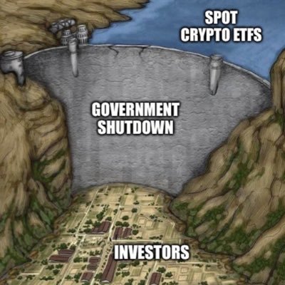 nedved123123's profile picture. 