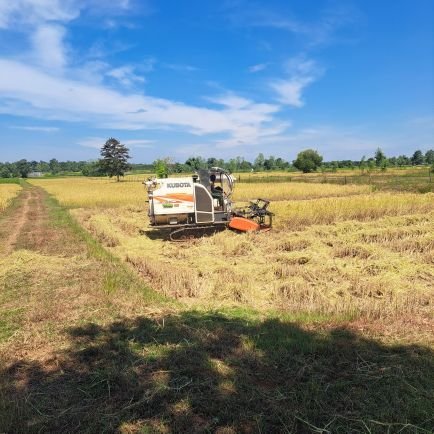 TeerayutUpakam's profile picture. 