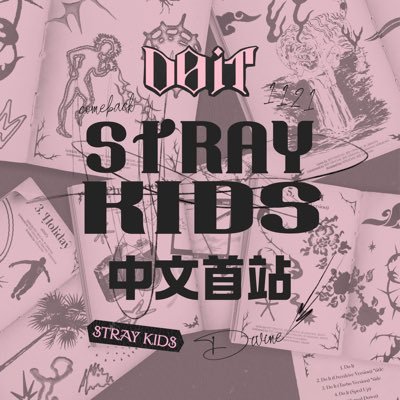 StrayKids_China's profile picture. FM325_StrayKidStaytion🩷Stray Kids 中文首站🩶Stray Kids Fansite from China🩷since 2017.9.27 🩶weibohttp://weibo.com/u/6376480726Vd