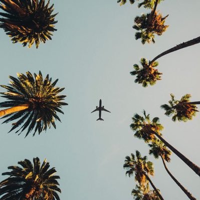 chaserrr01's profile picture. creative designer in tech🧑🏽‍💻