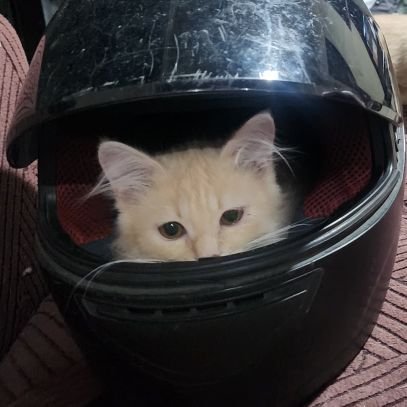 beneduardS's profile picture. 𝐩𝐡𝐢𝐥𝐢𝐩𝐩𝐢𝐚𝐧𝐬 𝟒:𝟏𝟑