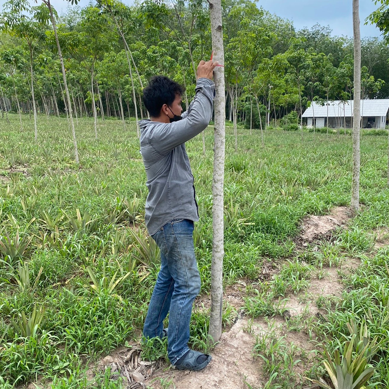 Dnl6qy's profile picture. 