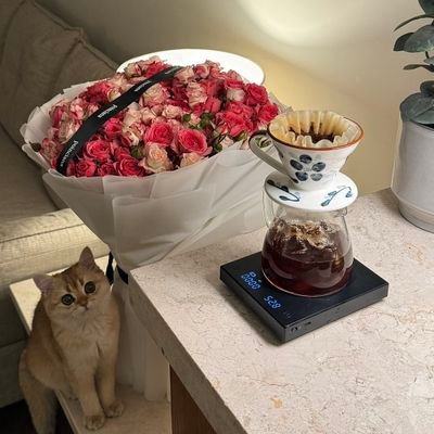 md50612151's profile picture. 