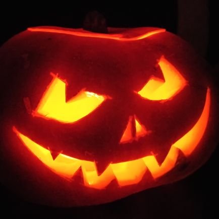 lews52724480's profile picture. suum cuique