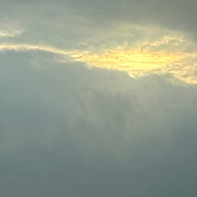 kinrin_z's profile picture. タルト