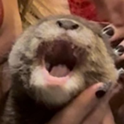 Leilawo_'s profile picture. 