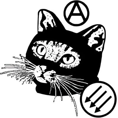 sanchez_an90017's profile picture. #GATUSELINMORTAL JAMÁS se va a DOBLEGAR FRENTE A #P3ND3J0S  SIEMPRE DE PIE, NUNCA DE RODILLAS DELANTE DE LOS CORRUPTOS Y VENDE PATRIA!