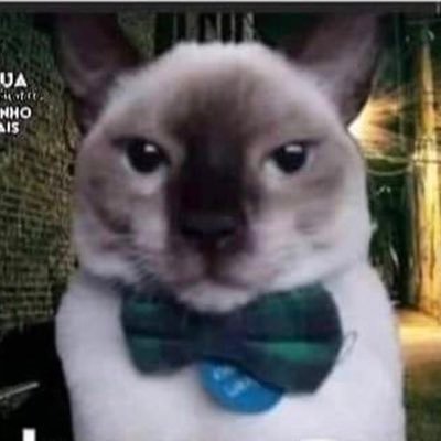 Predo20309532's profile picture. Só observando