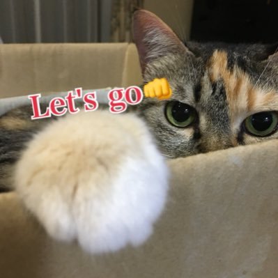 shiyu_72's profile picture. 無言フォロー失礼します🙇‍♀️Mtv Ktv推し💕showroomたかやん推し💕ひなのぎ神社⛩推し💕DangerPatrol推し💕気軽に絡んでくださいね😊