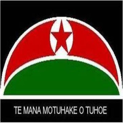 Tuhoetanga's profile picture. 