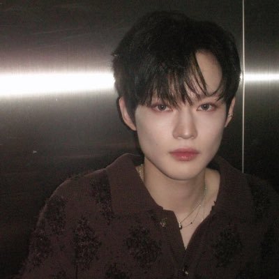 bittearcups's profile picture. forever simping over Chenle & Sohee (also Jungwoo)