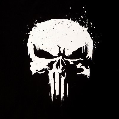 0xPunisher666's profile picture. 