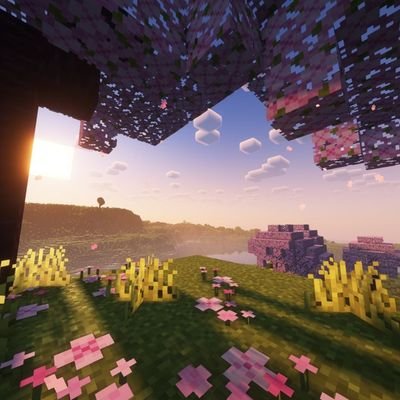 clover1239845's profile picture. 