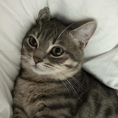 gaberlakes's profile picture. Ora et Labora