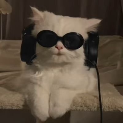 Pishikoco89's profile picture. 