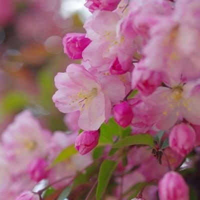 jongjikim11397's profile picture. 