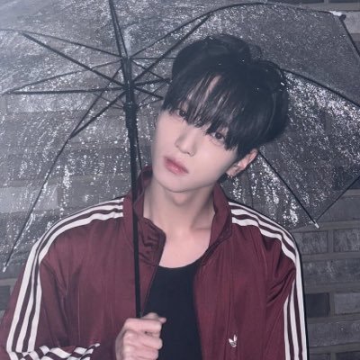 n0m1ccxks's profile picture. 