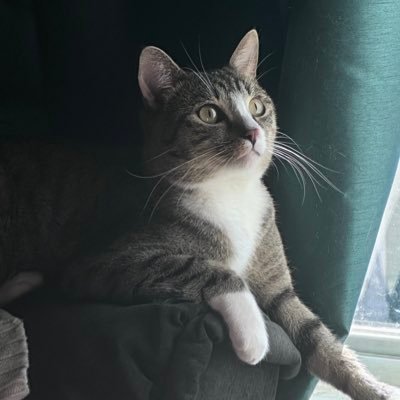 altdctwink's profile picture. 🔞