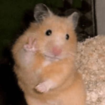 eitsesil's profile picture. katanya don't judge a book by the cover, jadi aku milih telanjang :v
aku suka ✨sastra✨
🚩rip grammar🚩