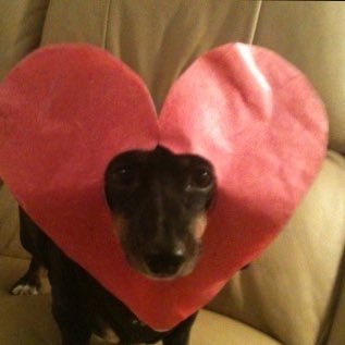 J8xDq's profile picture. เอกสารผ่านโอนทันที/ไม่รับผช. / รับ20+หรือนักศึกษา/รับเฉพาะคนมีเครดิต / มีราย1-15วัน แอดไลน์หรือทักเดม 👉🏻😽 https://t.co/886OGTCVPY