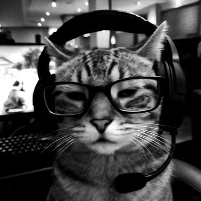 yodochoshi's profile picture. Para sa Sikolohiya | CHRA 𝚿 | #rpmtwt #rpm2026