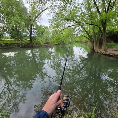 FoolsGoldCrypto's profile picture. Hoping crypto can provide us all with an early retirement filled with adventure.