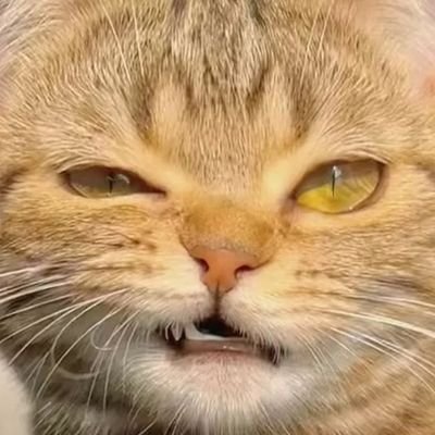 DKkc4Pq4gI05Sn6's profile picture. 