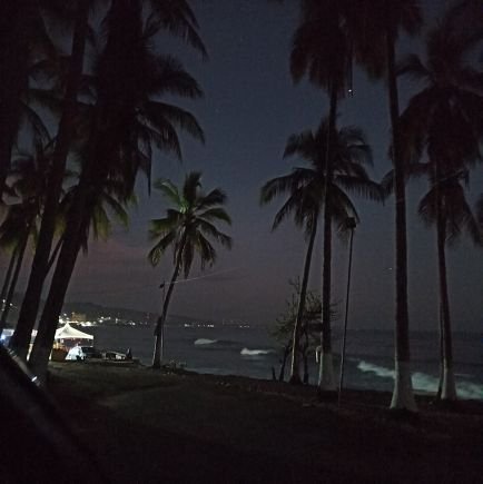 Bellamarytierra's profile picture. La vida tiene cosas impresionantes. El día, la noche, el agua y los bosques...