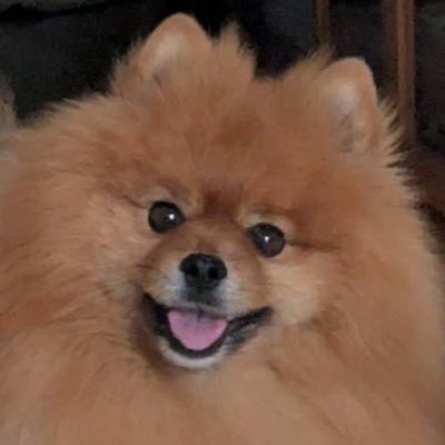 mi_1222_si's profile picture. name:Hope to connect the future ︎︎ ︎︎︎ ⠀ ⠀ ⠀ ⠀ ⠀ ⠀ ⠀ ⠀ ⠀ ⠀ ⠀双極性障害/解離性同一性障害/パニック障害⠀ ⠀ ⠀ ⠀ ⠀ ⠀ ⠀