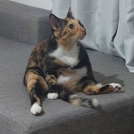 htyebtyn's profile picture. 