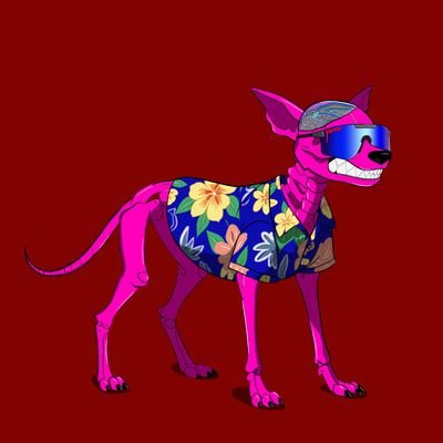 bigcrown6669922's profile picture. WEB 3 ENTHUSIAST//COMMUNITY MOD//CM//SHILLER//RAIDER//NFT
(ALHAMDULILLAH)