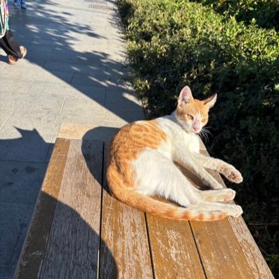 hayato93548084's profile picture. 