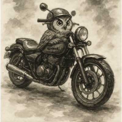 DwrNof's profile picture. AIを学んで活かしたい🦉、バイク乗ります🏍️