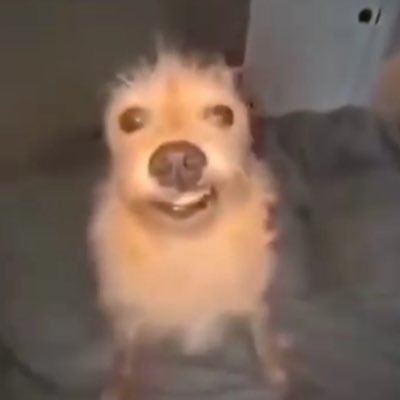 iiTenebrus's profile picture. a universal time, item asylum, roblox studio, repeat