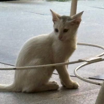 pastaxbroccoli's profile picture. 20, it's a journey.