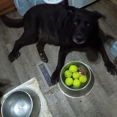 PhyllisWan5595's profile picture. 