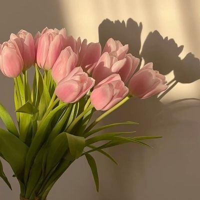 thesilentprep's profile picture. ALLAH HAFIZ 🤍🕊️