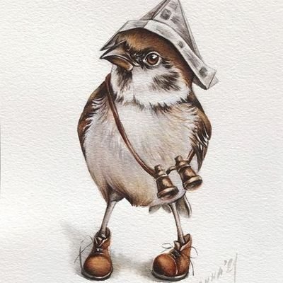 Starga0er's profile picture. لا إكراه في الفكر ..